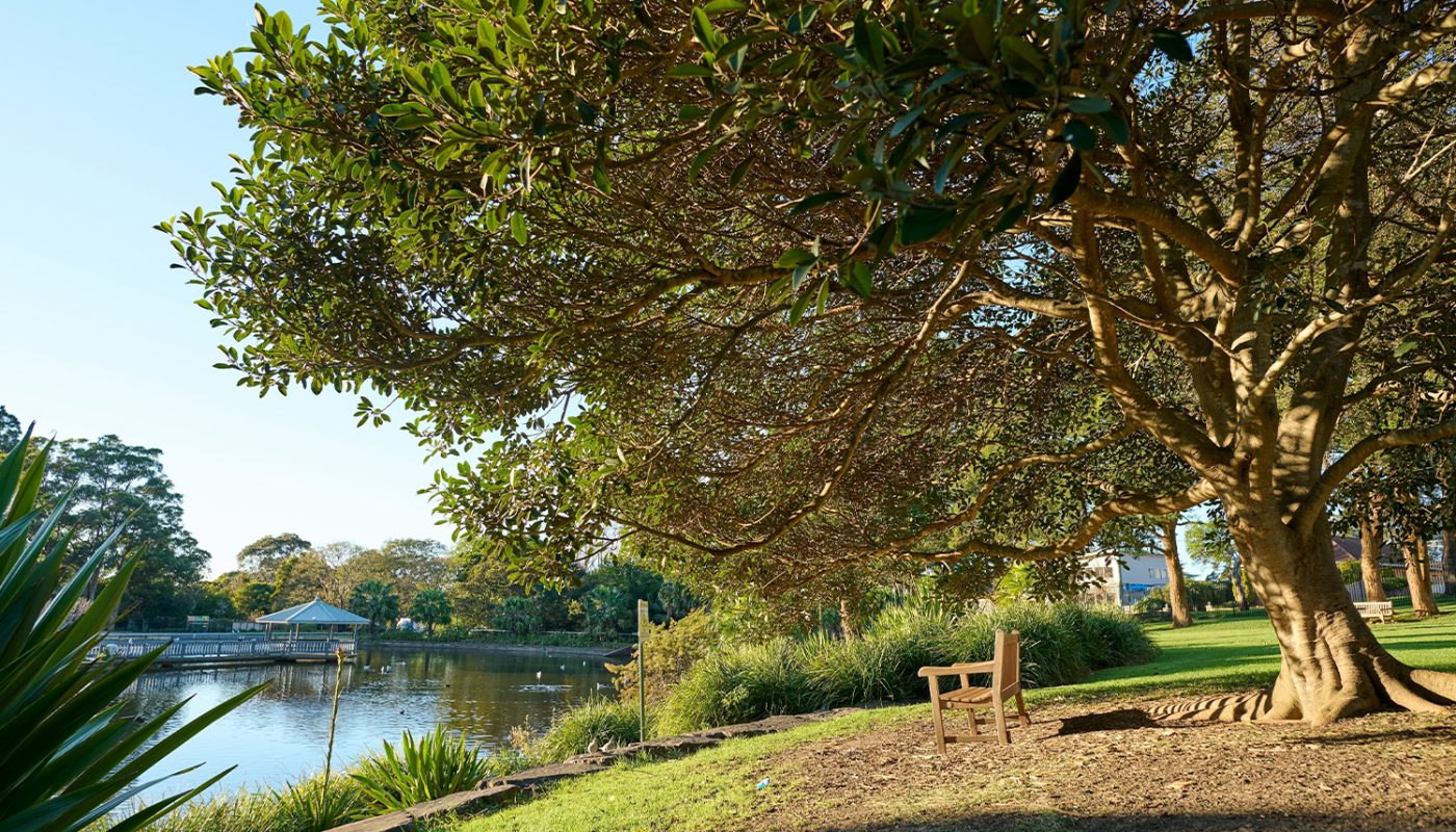 Wollongong Botanic Garden